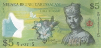 5 долларов 2011 год Бруней