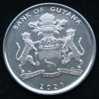 100 долларов 2021 год 55 лет Независимости Кооперативная Республика Гайана