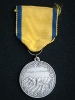Медаль  Шведская федерация плавания. Чемпионат Швеции 1954год II приз 100 м брассом.