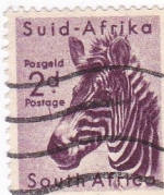 Марка Южная Африка Зебра 1954 год