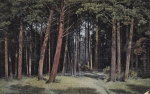 Почтовая карточка "Сосновый лес"